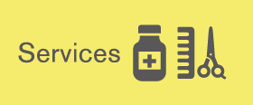Services